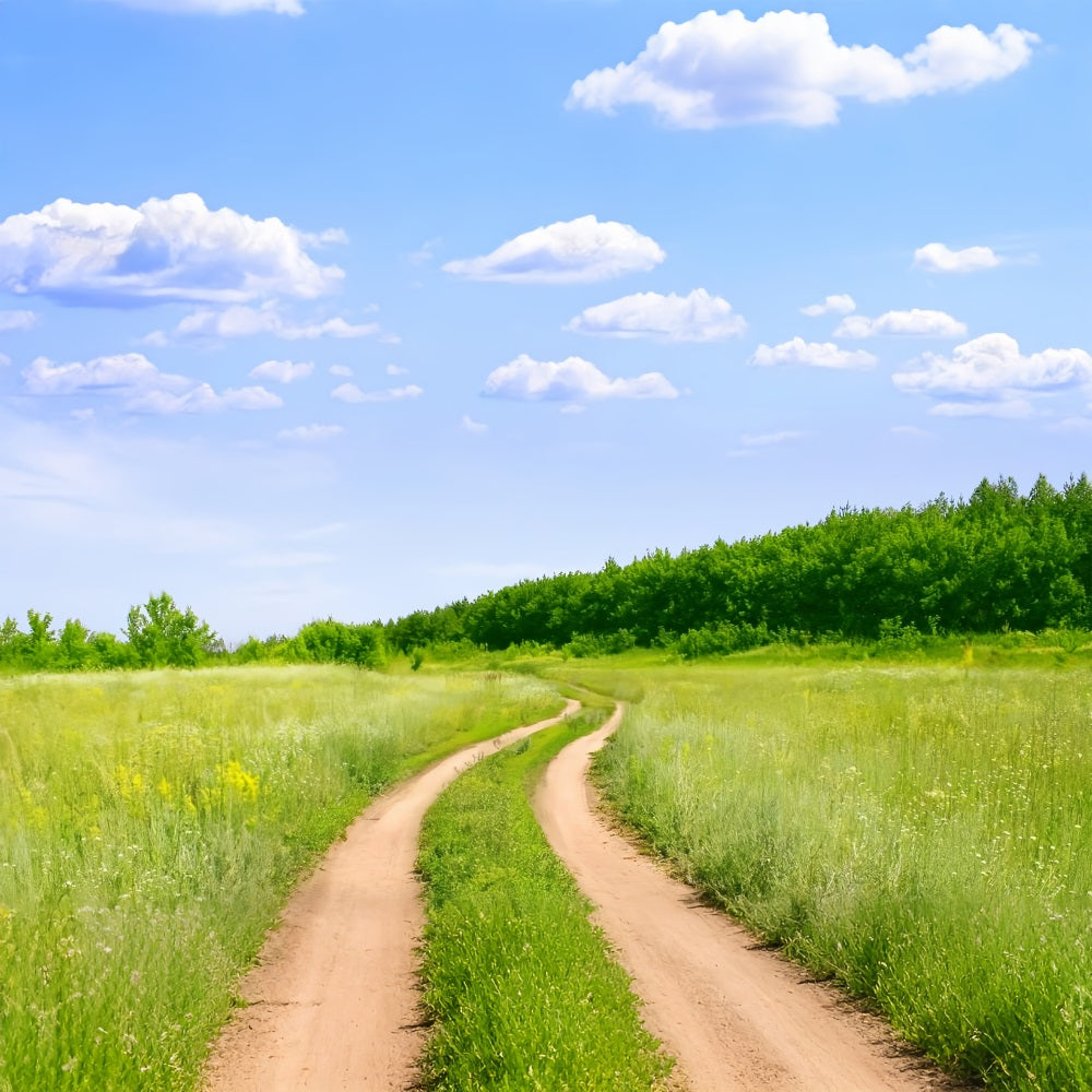 Blauer Himmel Backdrop Landweg Wiese Backdrop LXX1-302