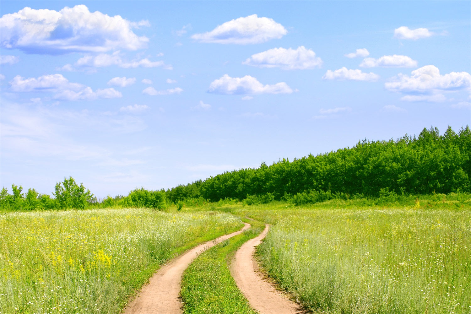 Blauer Himmel Backdrop Landweg Wiese Backdrop LXX1-302