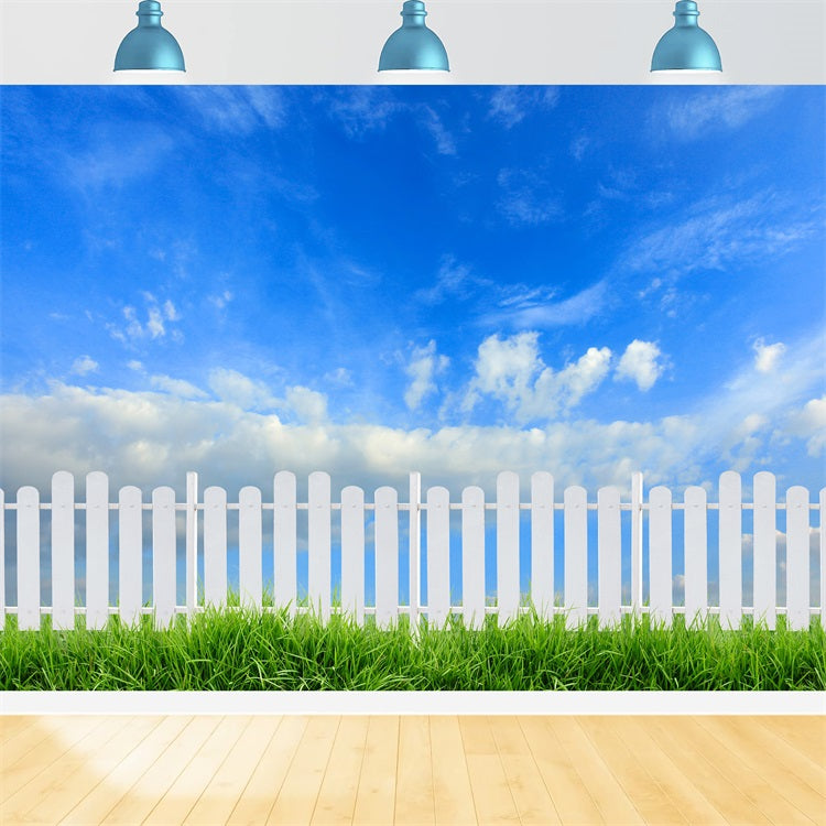 Himmel Backdrop Fotografie Sonniger Tag Weißer Zaun Hintergrund LXX1-303