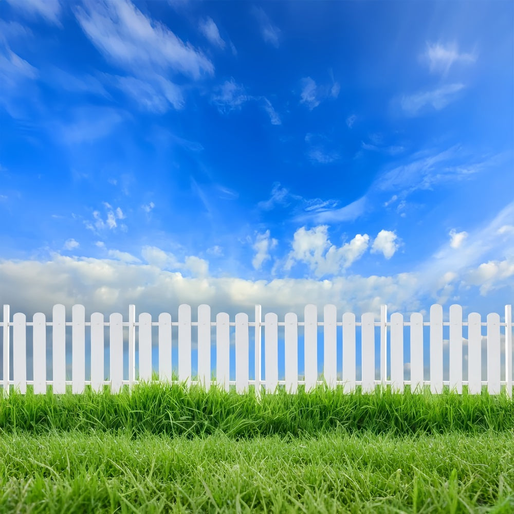 Himmel Backdrop Fotografie Sonniger Tag Weißer Zaun Hintergrund LXX1-303