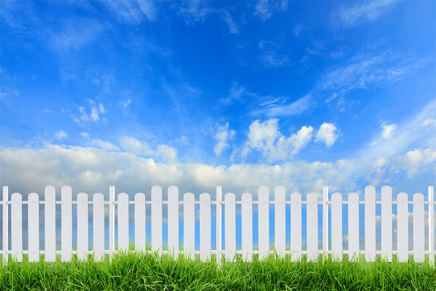 Himmel Backdrop Fotografie Sonniger Tag Weißer Zaun Hintergrund LXX1-303