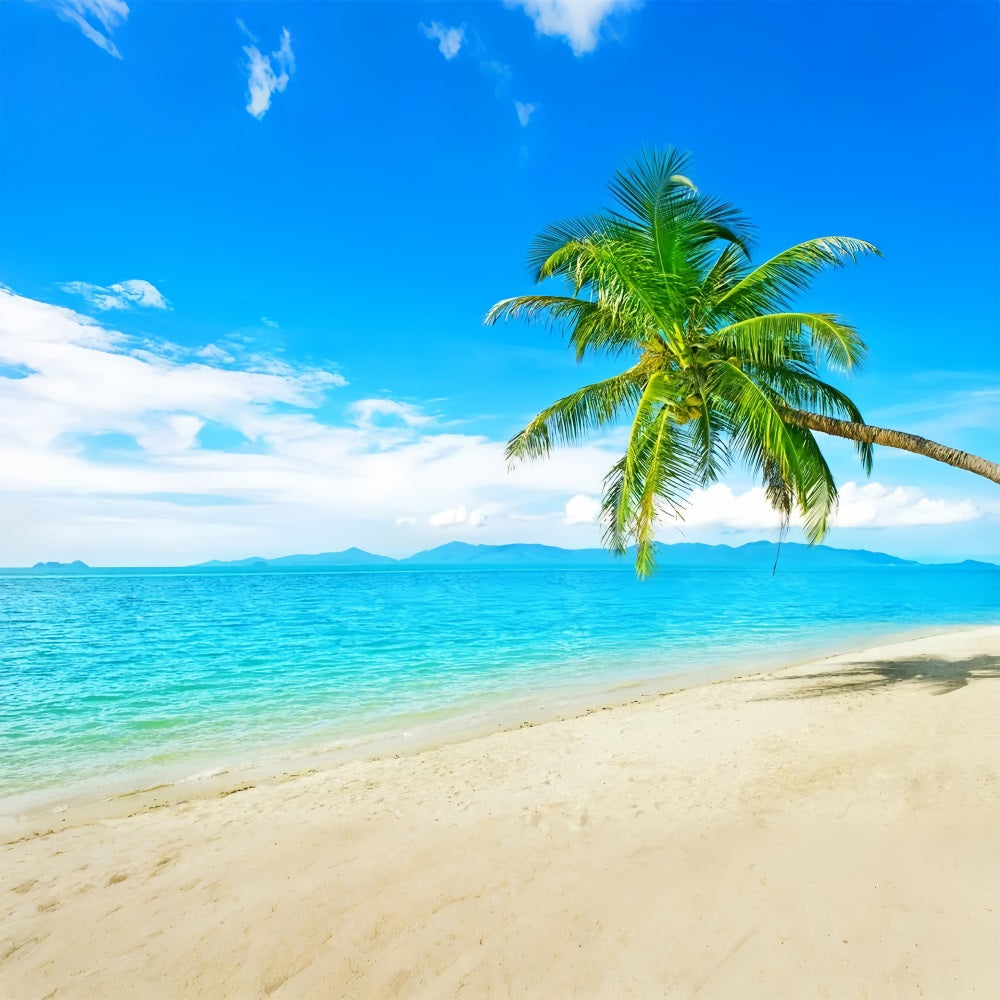 Ozean Himmel Backdrop Sunny Beach Kokosnussbaum Backdrop LXX1-304