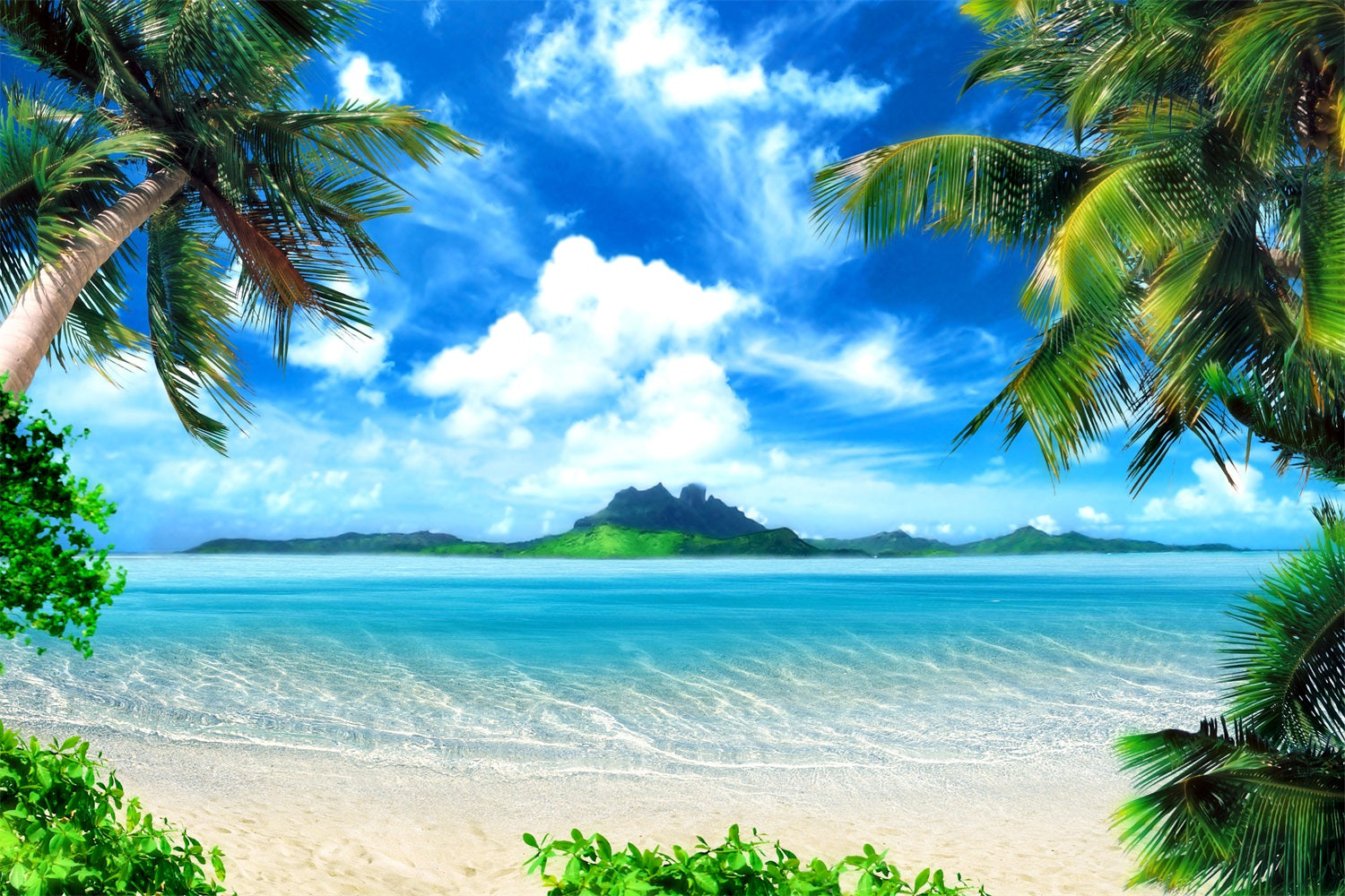 Fotografie Himmel Backdrop Serene Ocean Palm Trees Backdrop LXX1-305