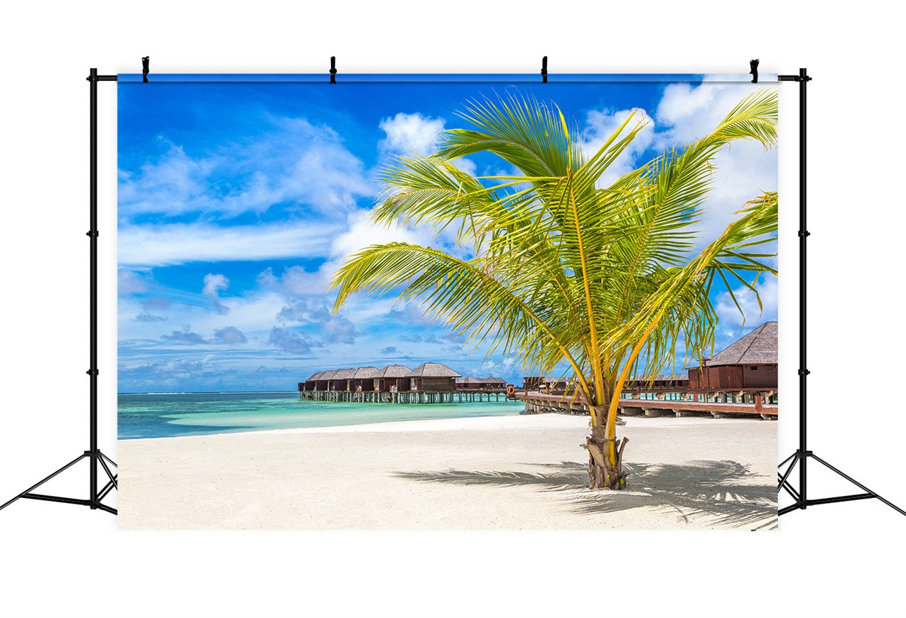 Himmel Fotografie Backdrop Palmen Luxus Hütten Hintergrund LXX1-306
