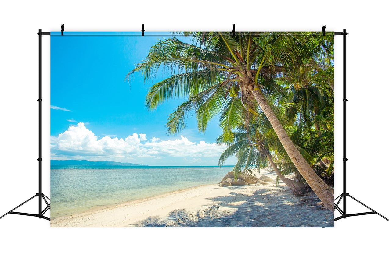 Bewölkter Himmel Hintergrund Palmen Strandlandschaft Hintergrund LXX1-307