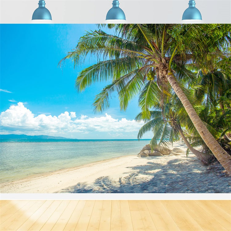 Bewölkter Himmel Hintergrund Palmen Strandlandschaft Hintergrund LXX1-307