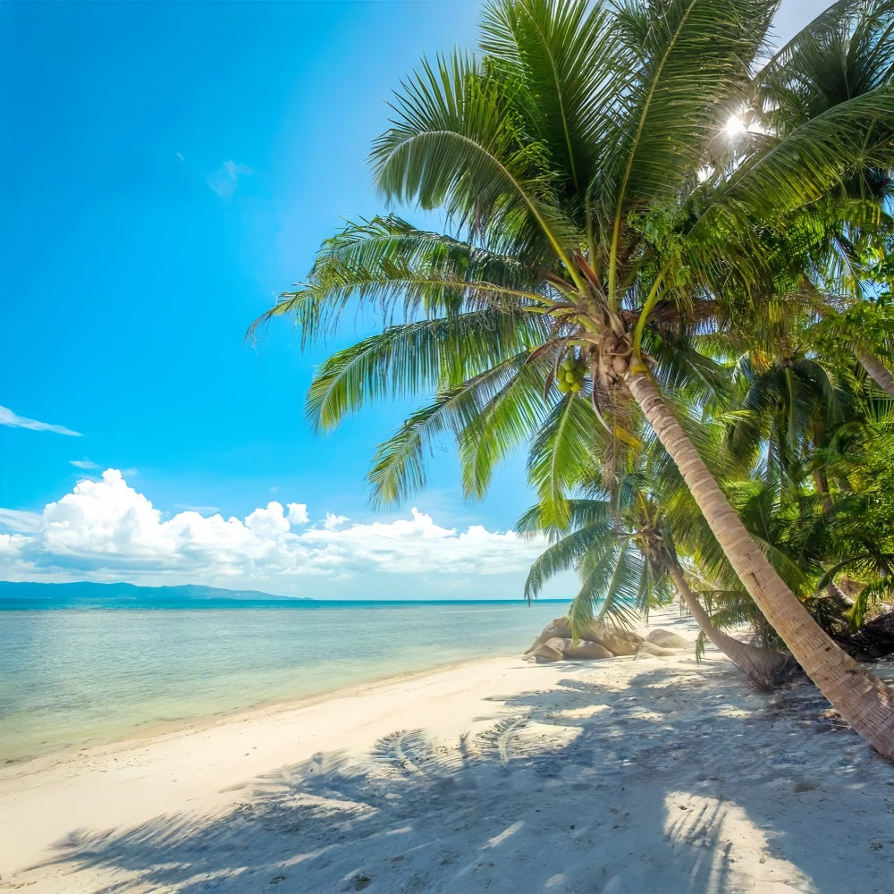 Bewölkter Himmel Hintergrund Palmen Strandlandschaft Hintergrund LXX1-307