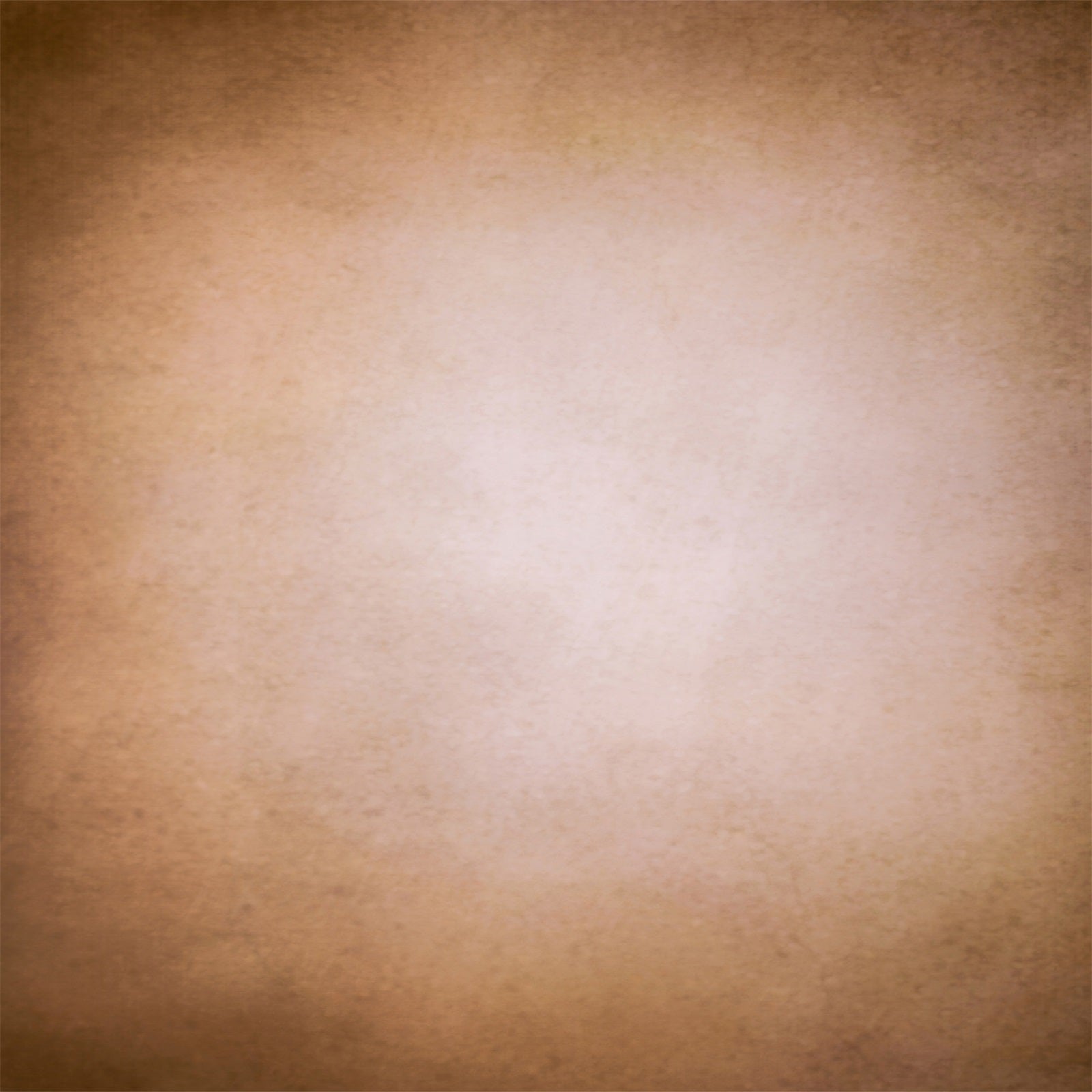 Abstrakte Fotografie Backdrop Soft Sepia Gradient Backdrop LXX1-369