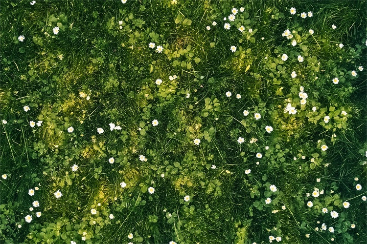 Floor Backdrop Weiße Blütenblätter Grüne Wiese Floor Backdrop LXX2-229