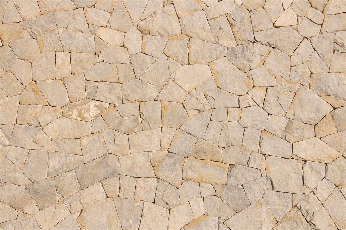 Floor Backdrops für Fotografie Warm Stone Slab Floor Backdrop LXX2-256