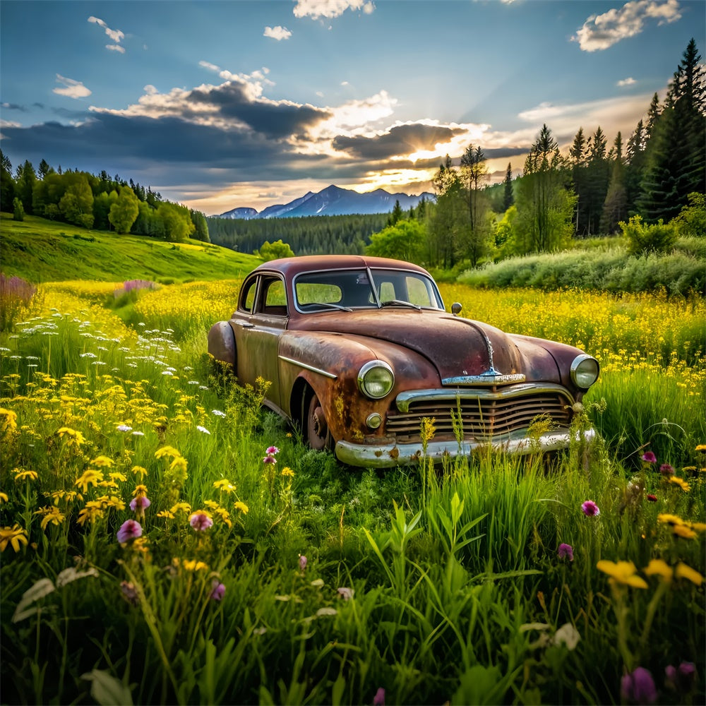 Frühling Fotohintergrund Vintage Auto Lush Meadow Hintergrund LXX2-68