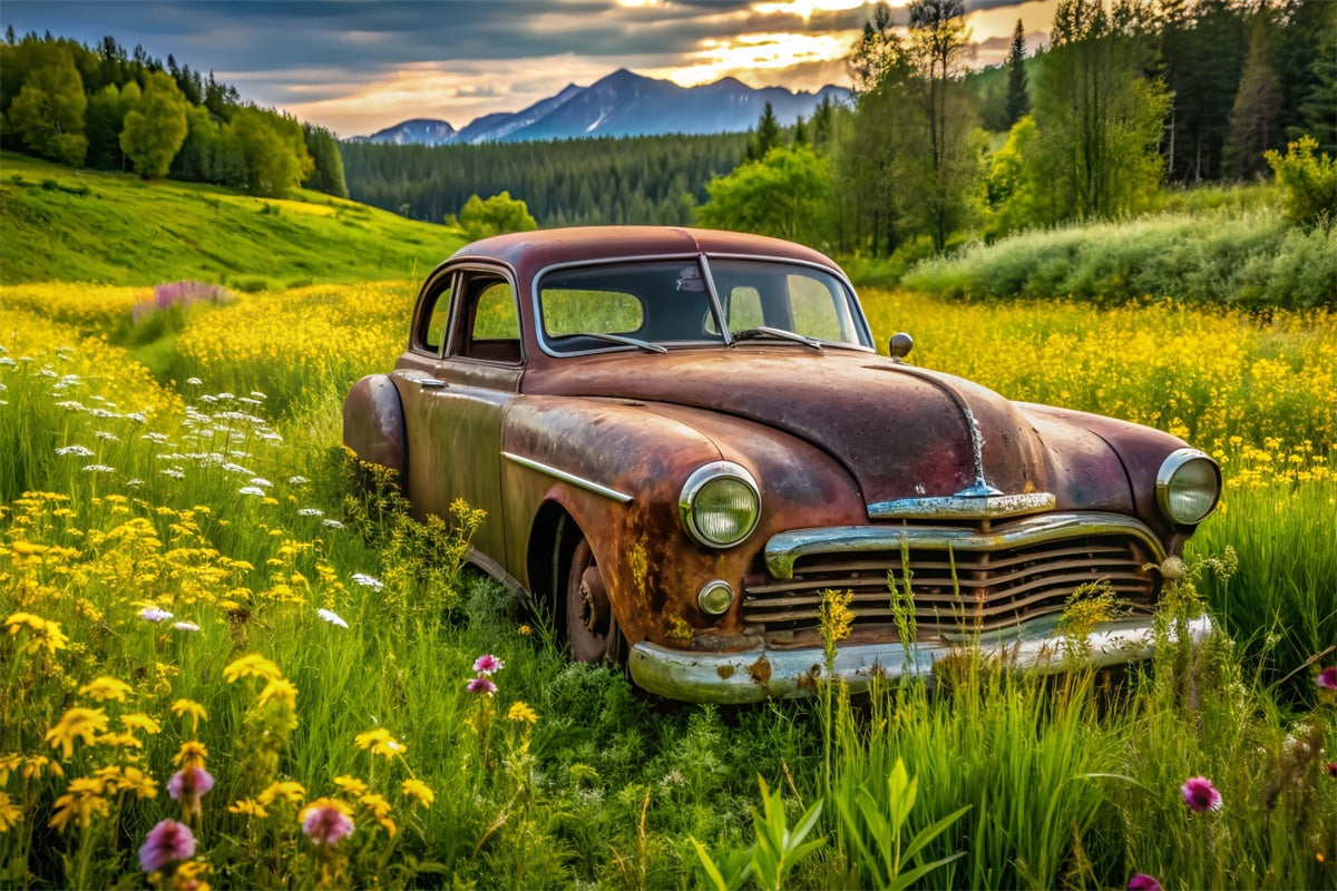 Frühling Fotohintergrund Vintage Auto Lush Meadow Hintergrund LXX2-68