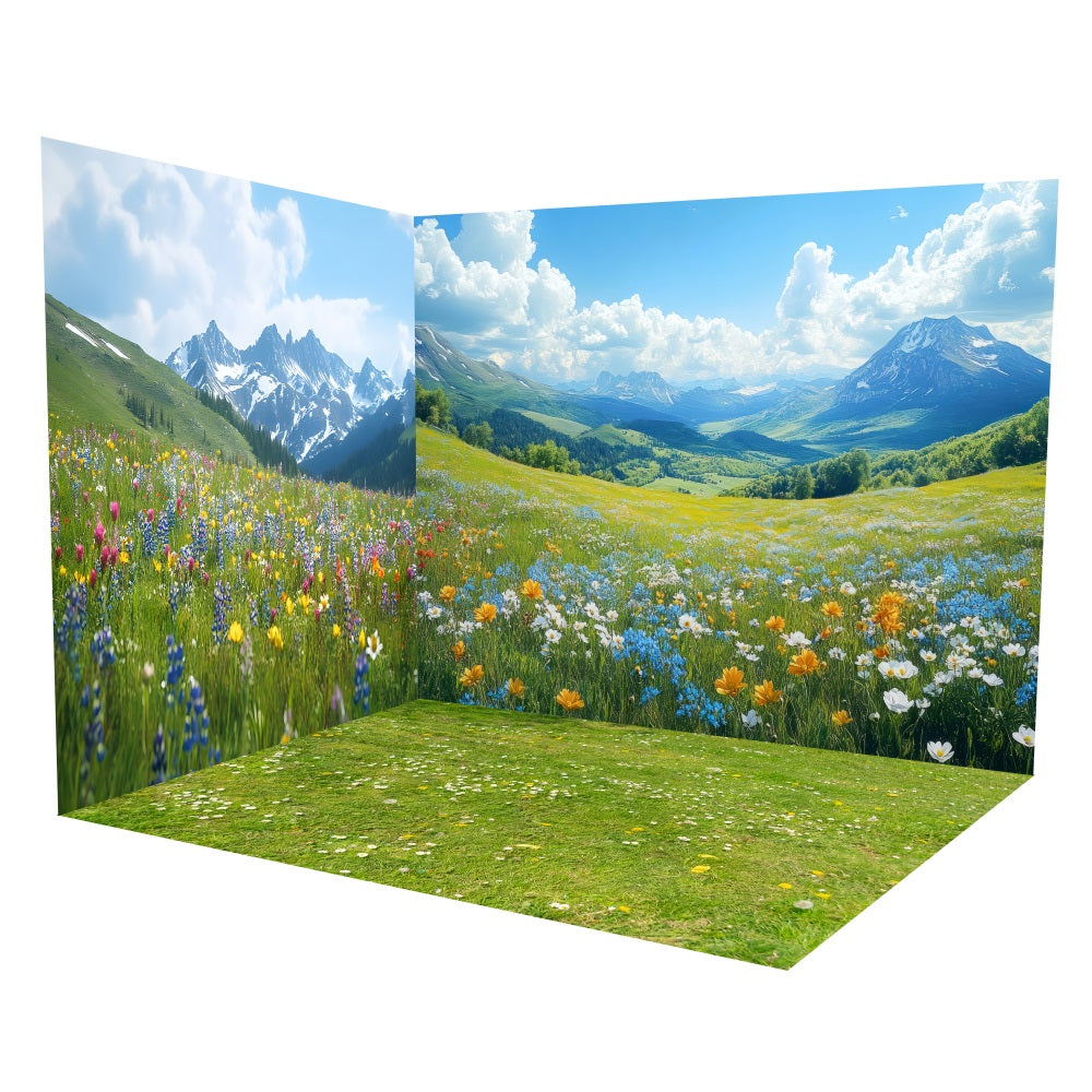 Frühlingshafte Bergwildblumenwiese Hintergrundkulisse Raumset LXX3-10