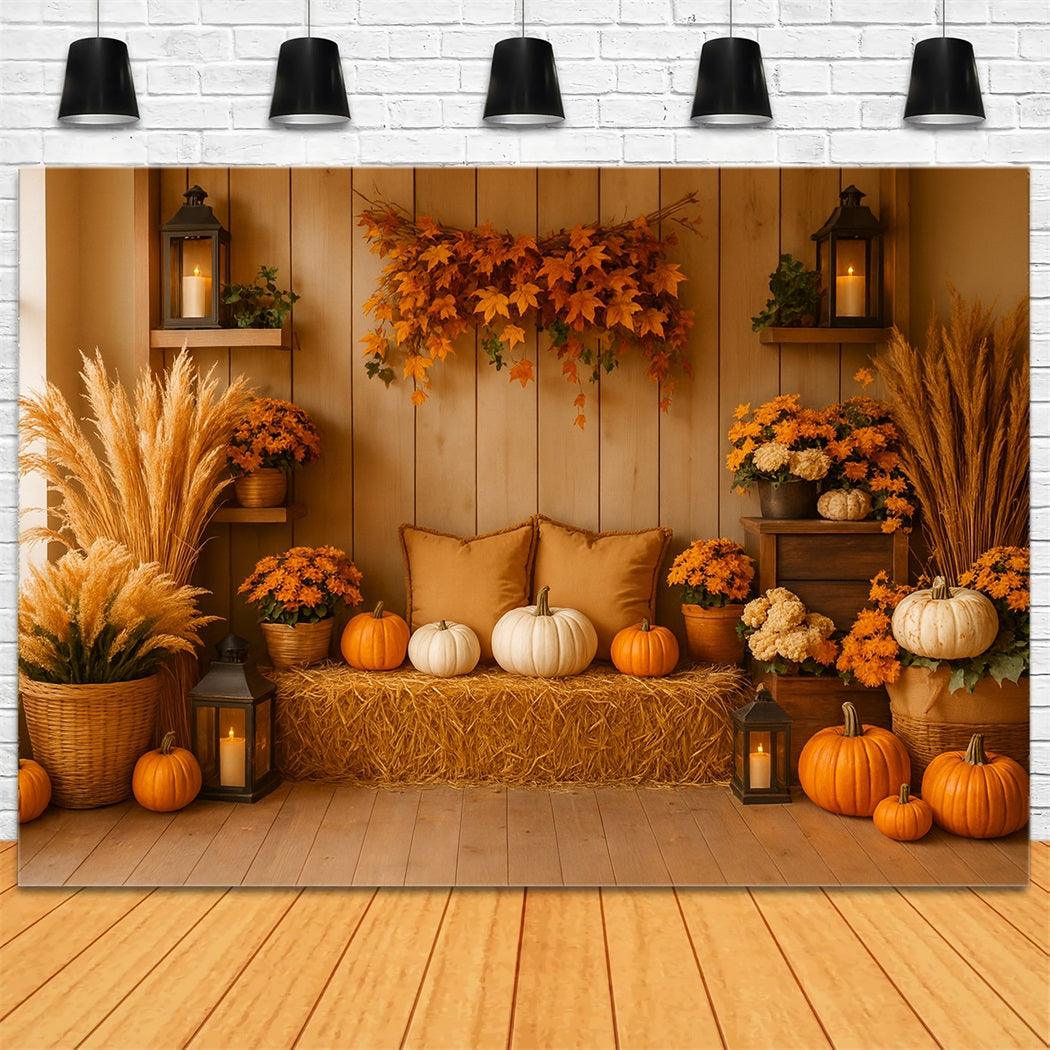 K¨¹rbis-Fotohintergrund Gem¨¹tliche Herbst-K¨¹rbis-Ecke Thanksgiving-Fotohintergrund LXX510-19
