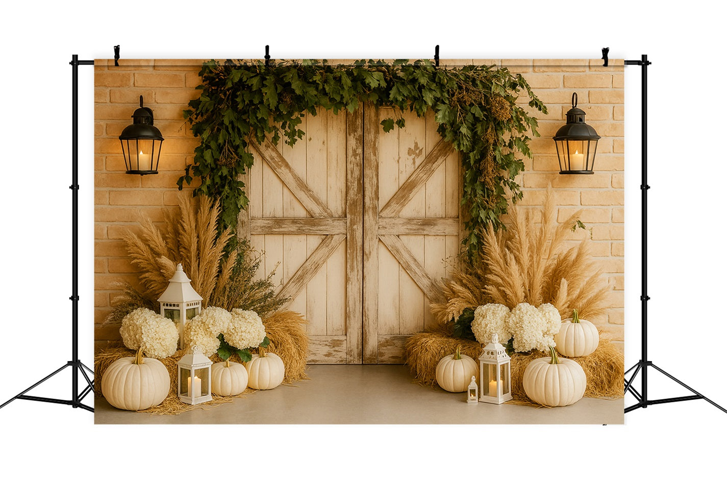 K¨¹rbis-Hintergrund Neutrale Pampas Eleganter Eingang Thanksgiving-Fotohintergr¨¹nde LXX510-28