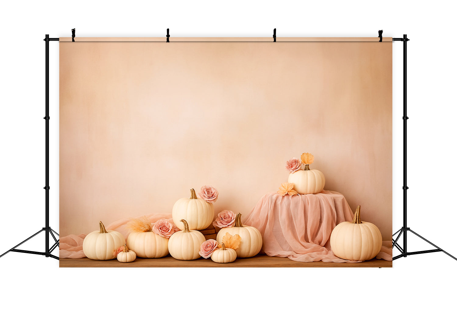K¨¹rbis-Hintergrund Weiche K¨¹rbisrosen Eleganz Thanksgiving-Hintergr¨¹nde LXX510-44