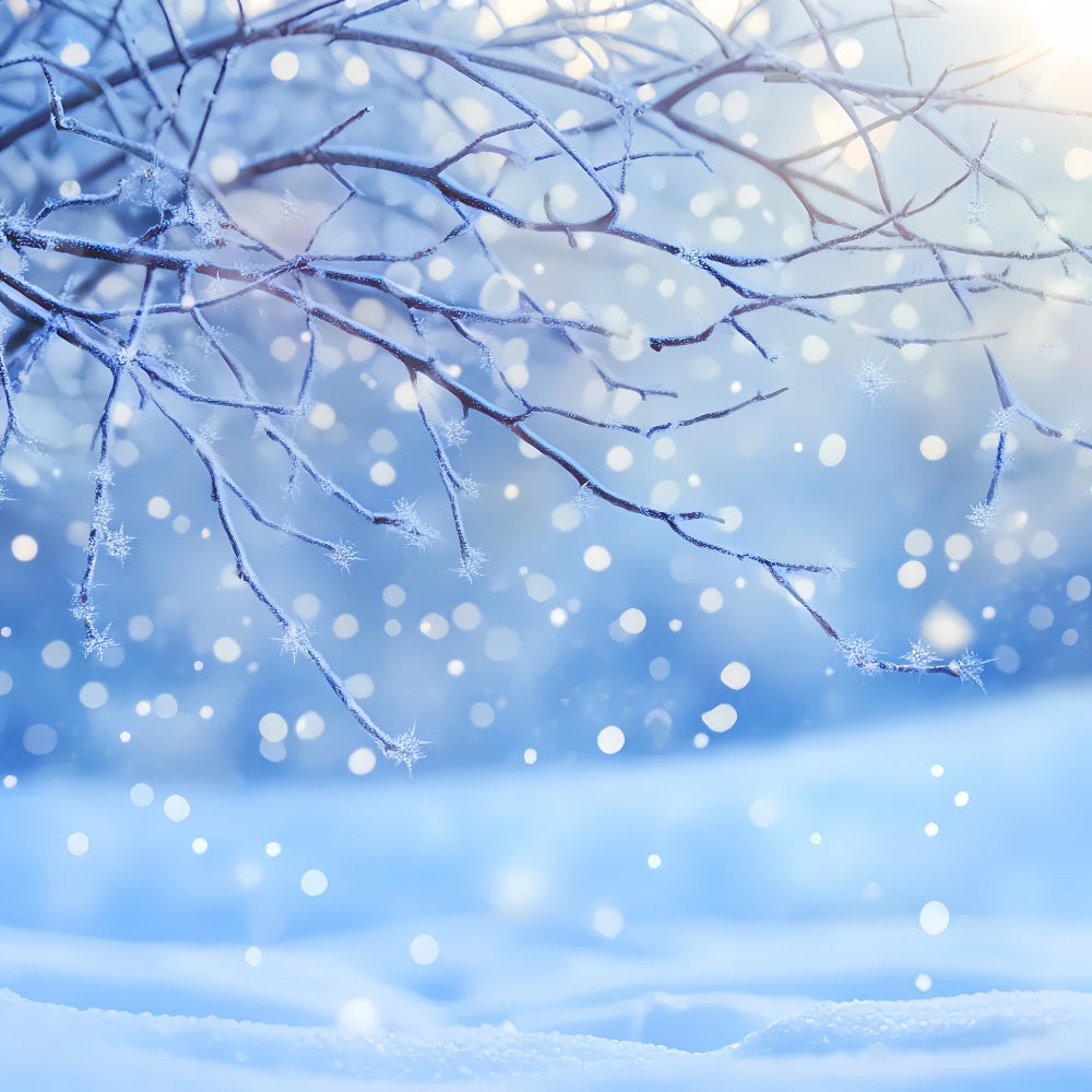 Winter-Schnee-Hintergrund Vereister Ast Schneeflocken Glühen Winter-Fotohintergründe LXX510-80