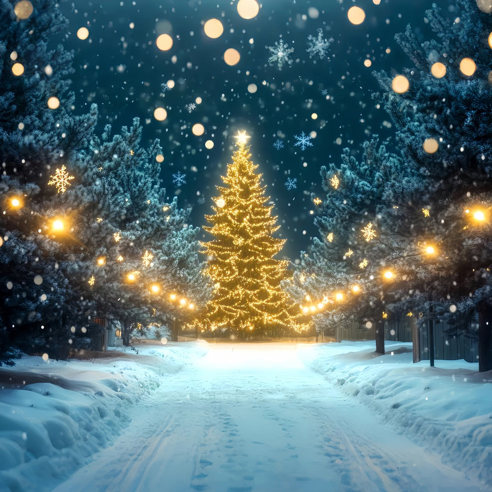 Winterwunderland-Hintergrund Weihnachtsbaum-Lichterweg Winterhintergründe LXX510-81