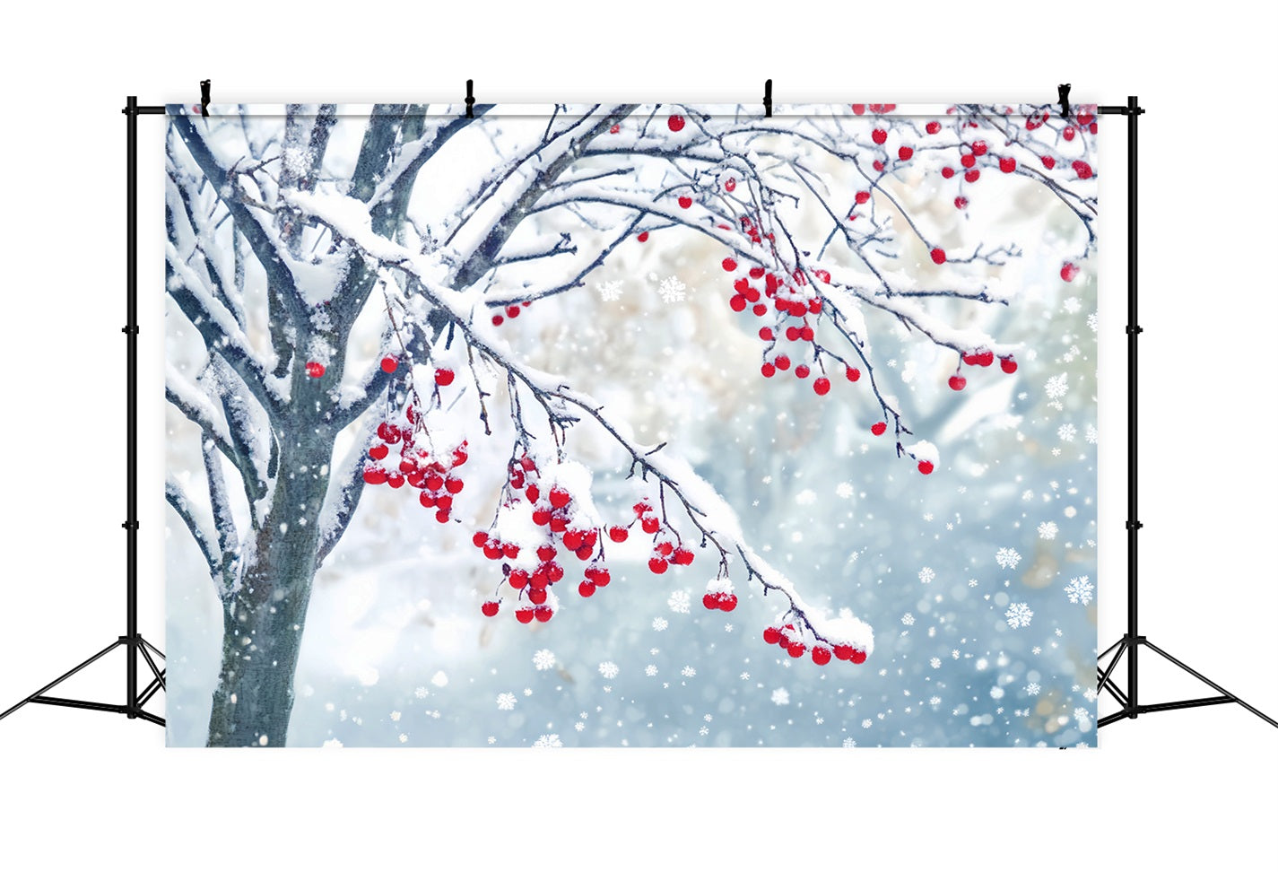 Winter-Schnee-Hintergrund Rote Beeren Schneezweige Winter-Fotohintergründe LXX510-83