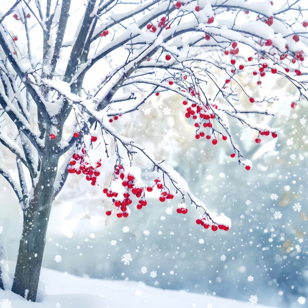 Winter-Schnee-Hintergrund Rote Beeren Schneezweige Winter-Fotohintergründe LXX510-83