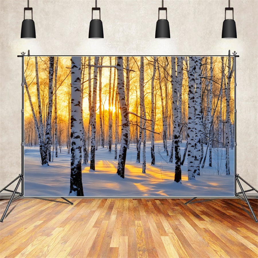 Winterwald-Hintergrund Goldener Sonnenaufgang Birkenwunderland Winter-Hintergrund LXX510-87
