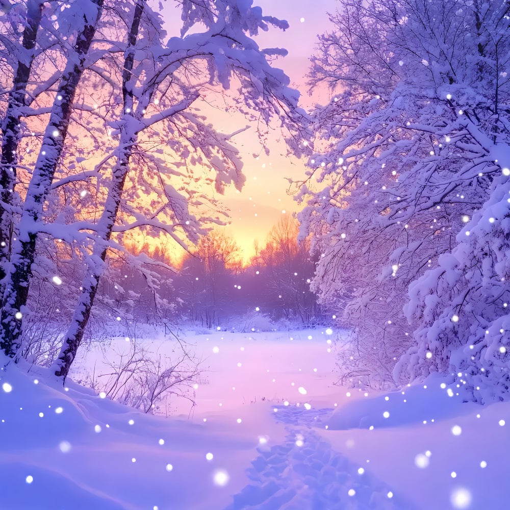 Winterwunderland-Hintergrund Rosa Sonnenaufgang Schneewald Winterhintergrund LXX510-92