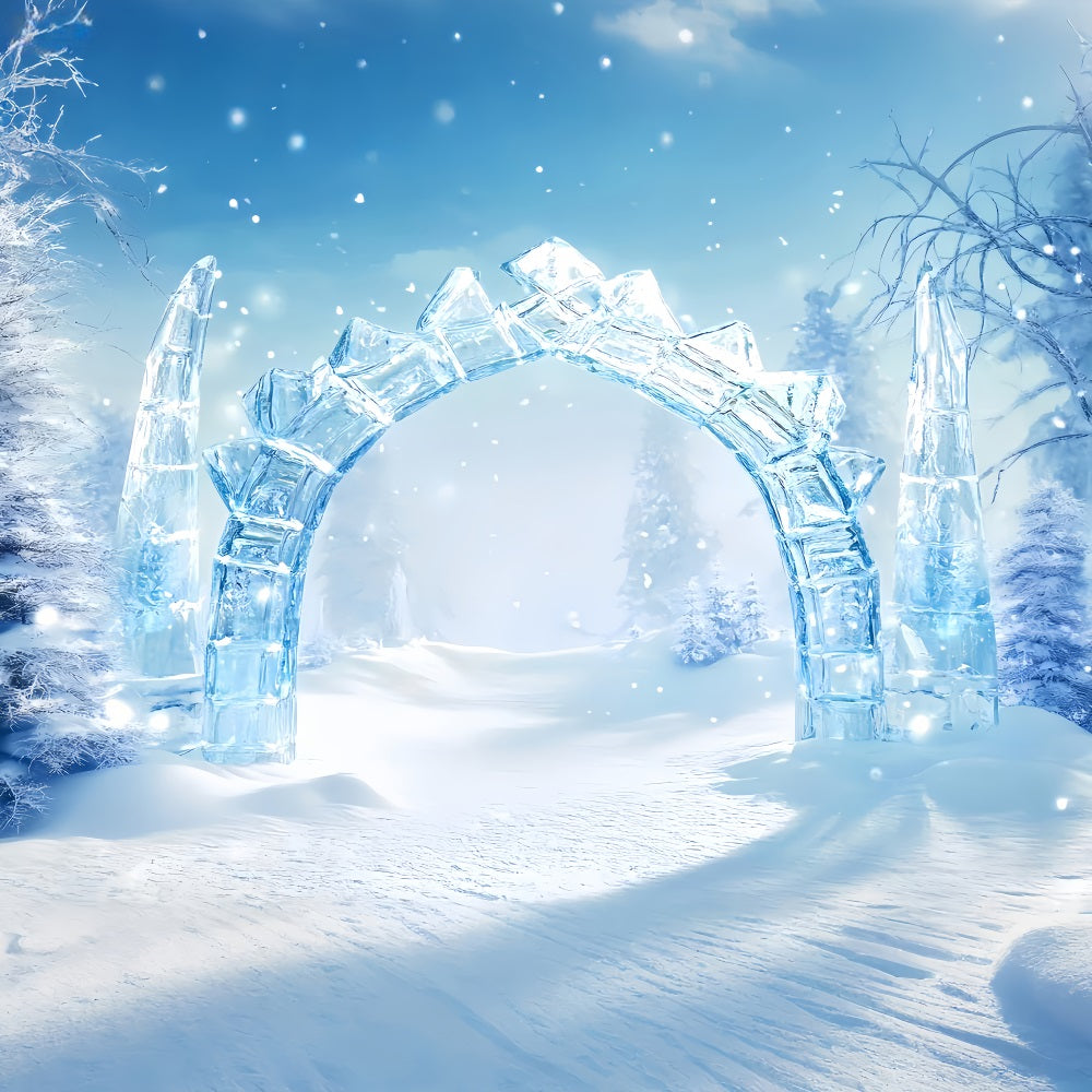 Wunderland-Hintergrund Kristall-Eisbogenweg Winter-Fotohintergründe LXX510-95