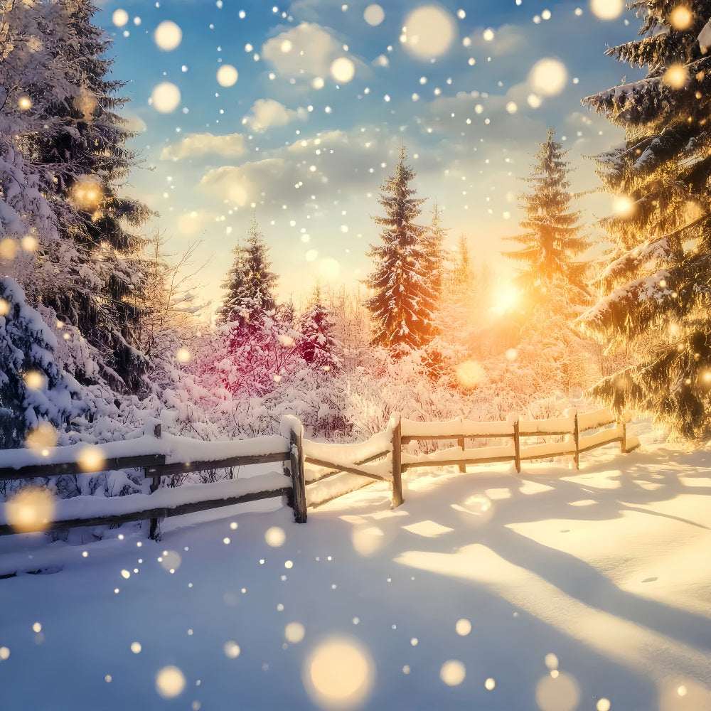 Wunderland-Hintergrund Funkelnder Sonnenuntergang Schneezäune Winterfotografie-Hintergründe LXX510-99