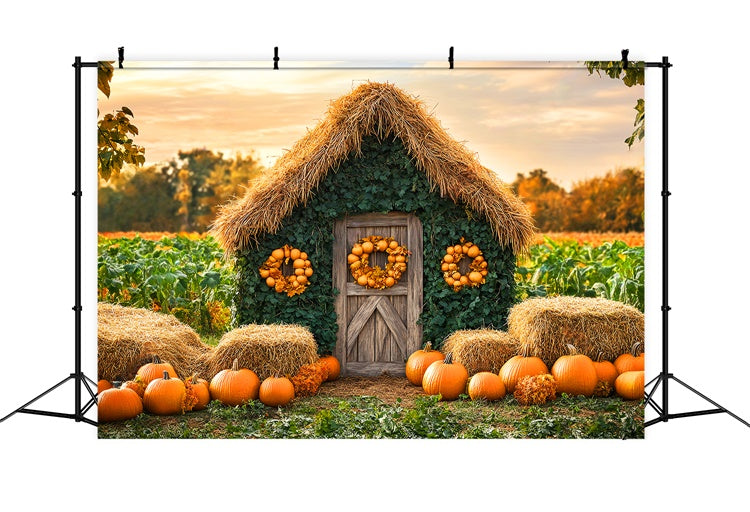 Herbst Fotokulisse Kürbisfeld Landhaus Hintergrund LXX57-154