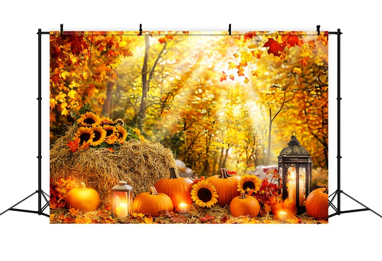 Herbst Wald Backdrop Kürbis Glühen Wald Fotohintergrund LXX57-178