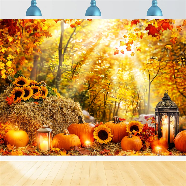 Herbst Wald Backdrop Kürbis Glühen Wald Fotohintergrund LXX57-178
