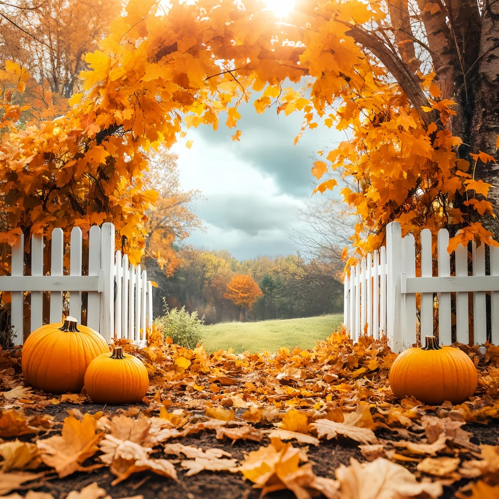 Herbstblätter Hintergrundkulisse Kürbishain Zaun Fotohintergrund LXX57-179