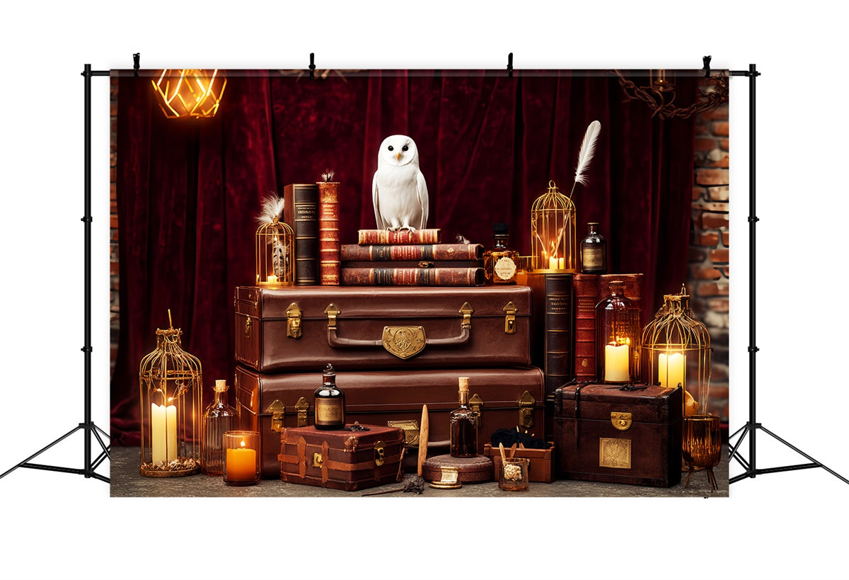 Retro-Hintergrund Mystische Eule Bücher Vintage-Fotohintergrund LXX57-192