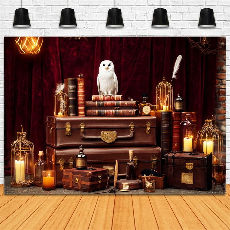 Retro-Hintergrund Mystische Eule Bücher Vintage-Fotohintergrund LXX57-192