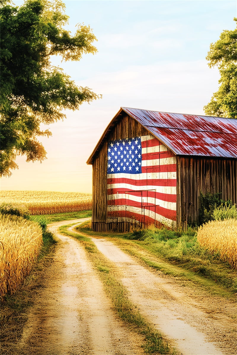 Rustikale Scheune Backdrop Patriotische Farm Scheune Foto Hintergrund LXX57-387