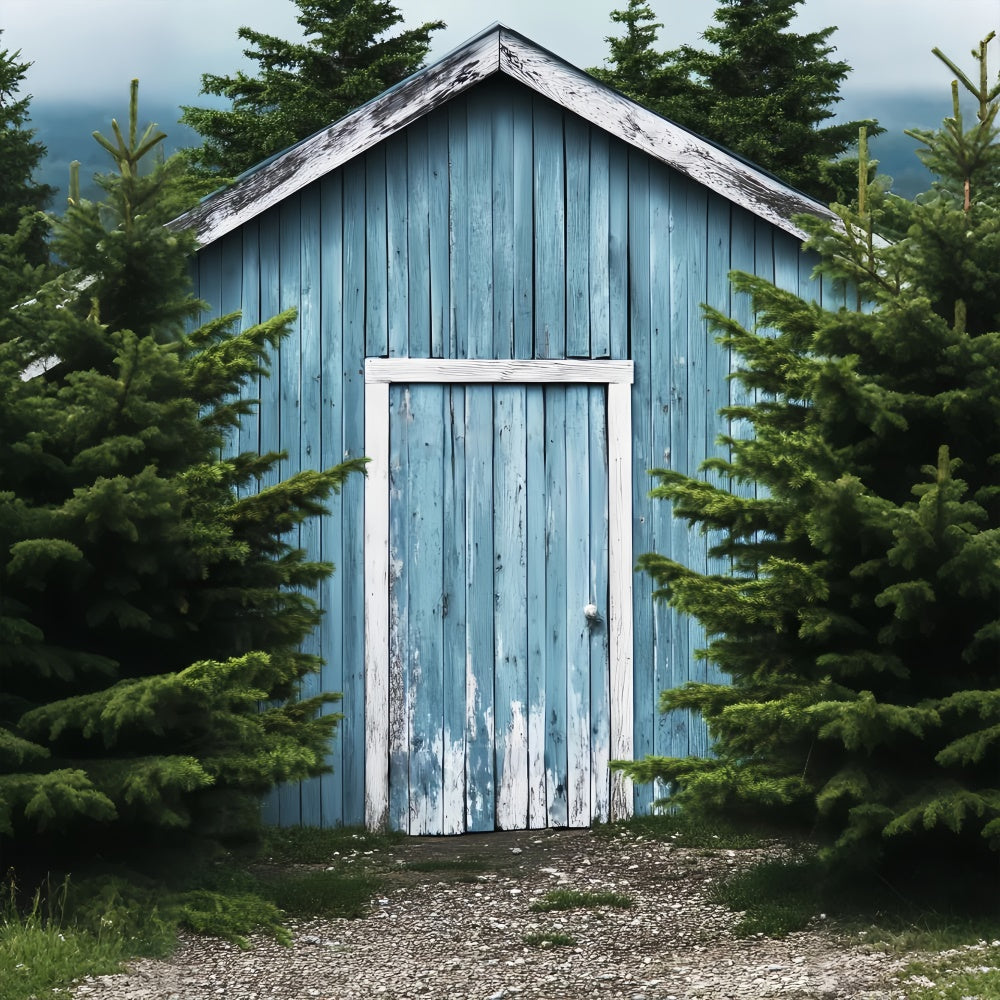 Scheune Fotokulisse Woodland Blue Scheune Foto Hintergrund LXX57-395