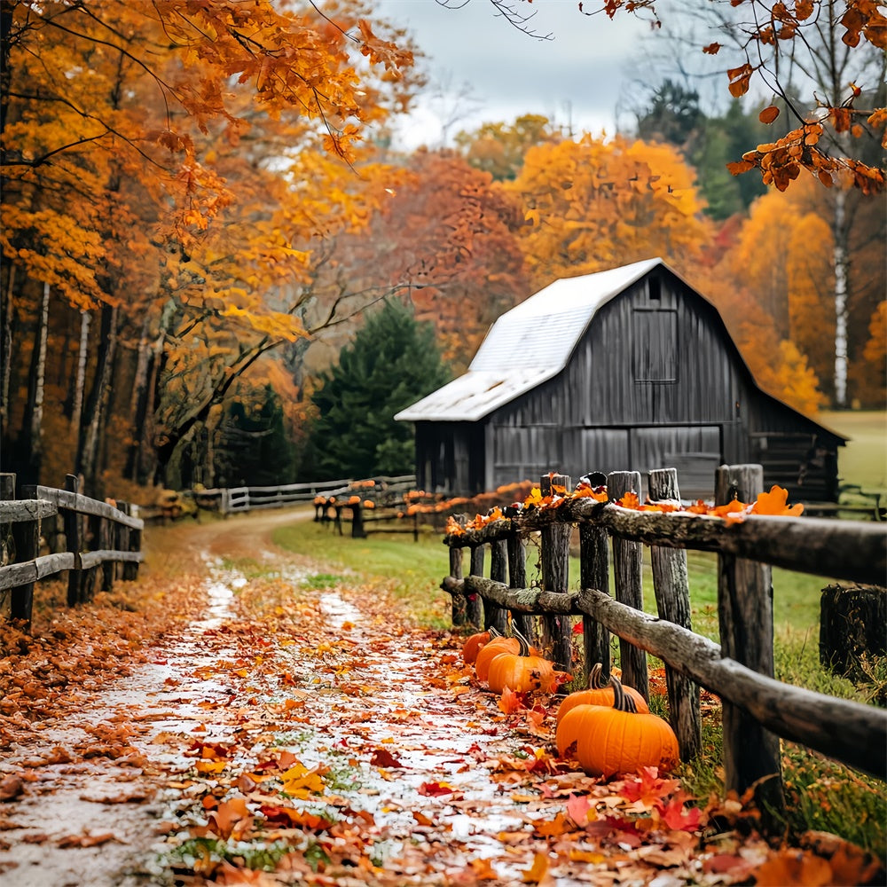 Rustikale Scheune Kulisse Kürbisweg Herbst Foto Hintergrund LXX57-398