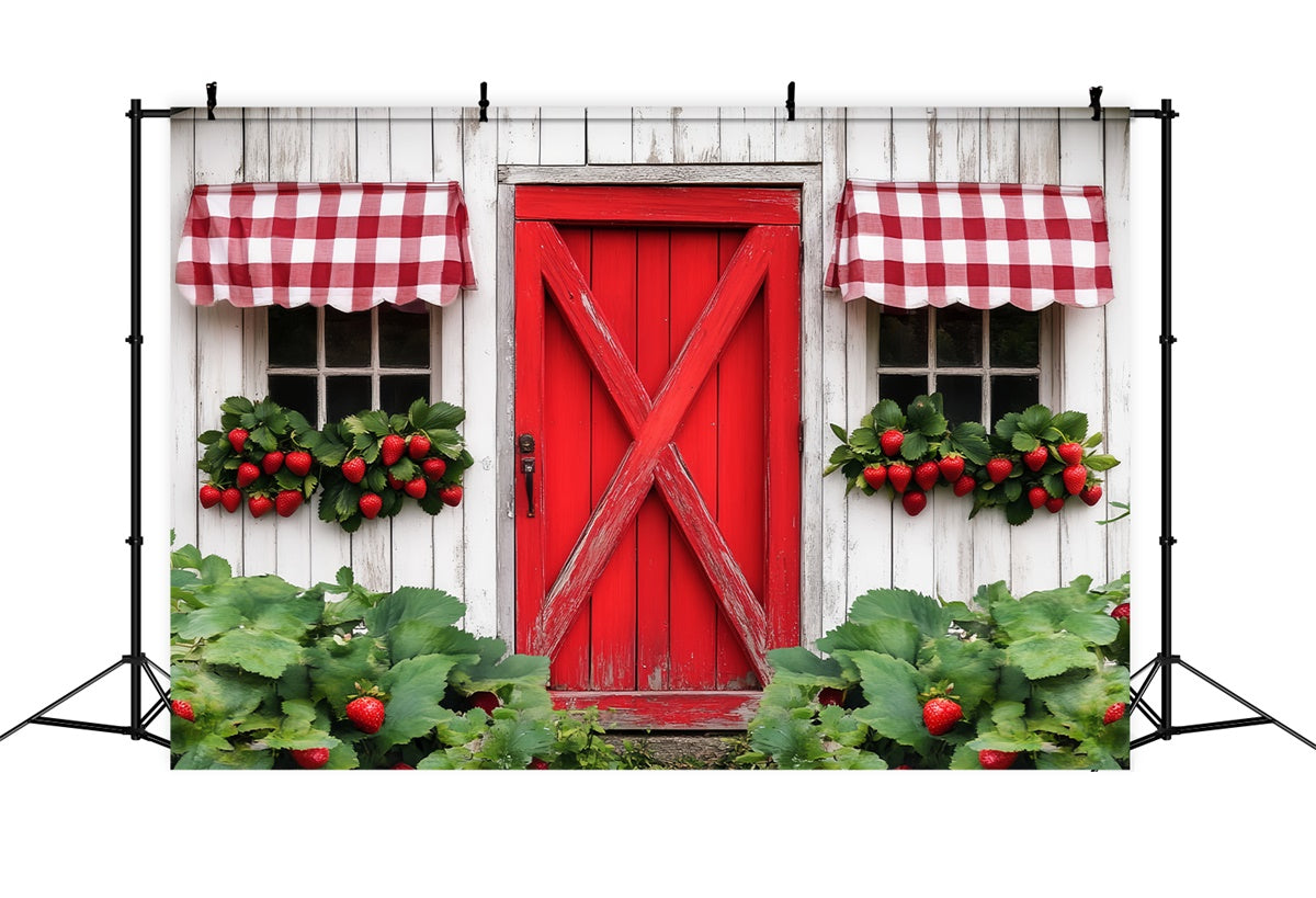 Rustikale Scheune Backdrop Land Beeren Fenster Foto Hintergrund LXX57-408