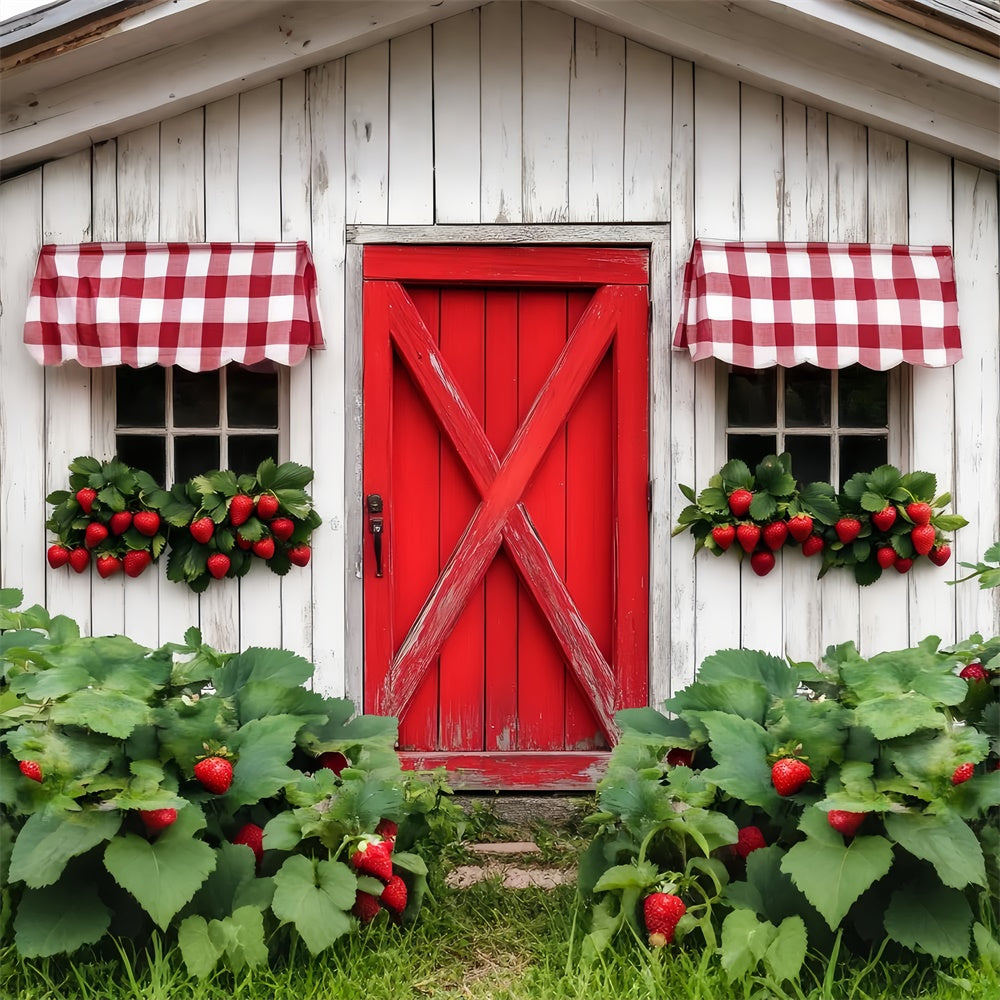 Rustikale Scheune Backdrop Land Beeren Fenster Foto Hintergrund LXX57-408