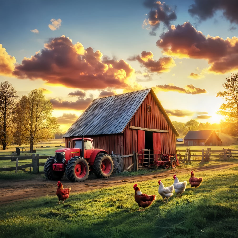 Rustikale Scheune Kulisse Hühnerfarm Sonnenuntergang Foto Hintergrund LXX57-416