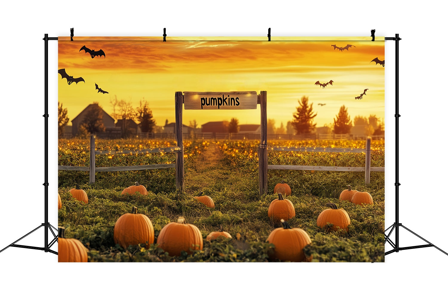Herbst-Foto Hintergrund Kürbisfeld Sonnenuntergang Fledermäuse SonnenuntergangsFoto Hintergrund LXX58-164