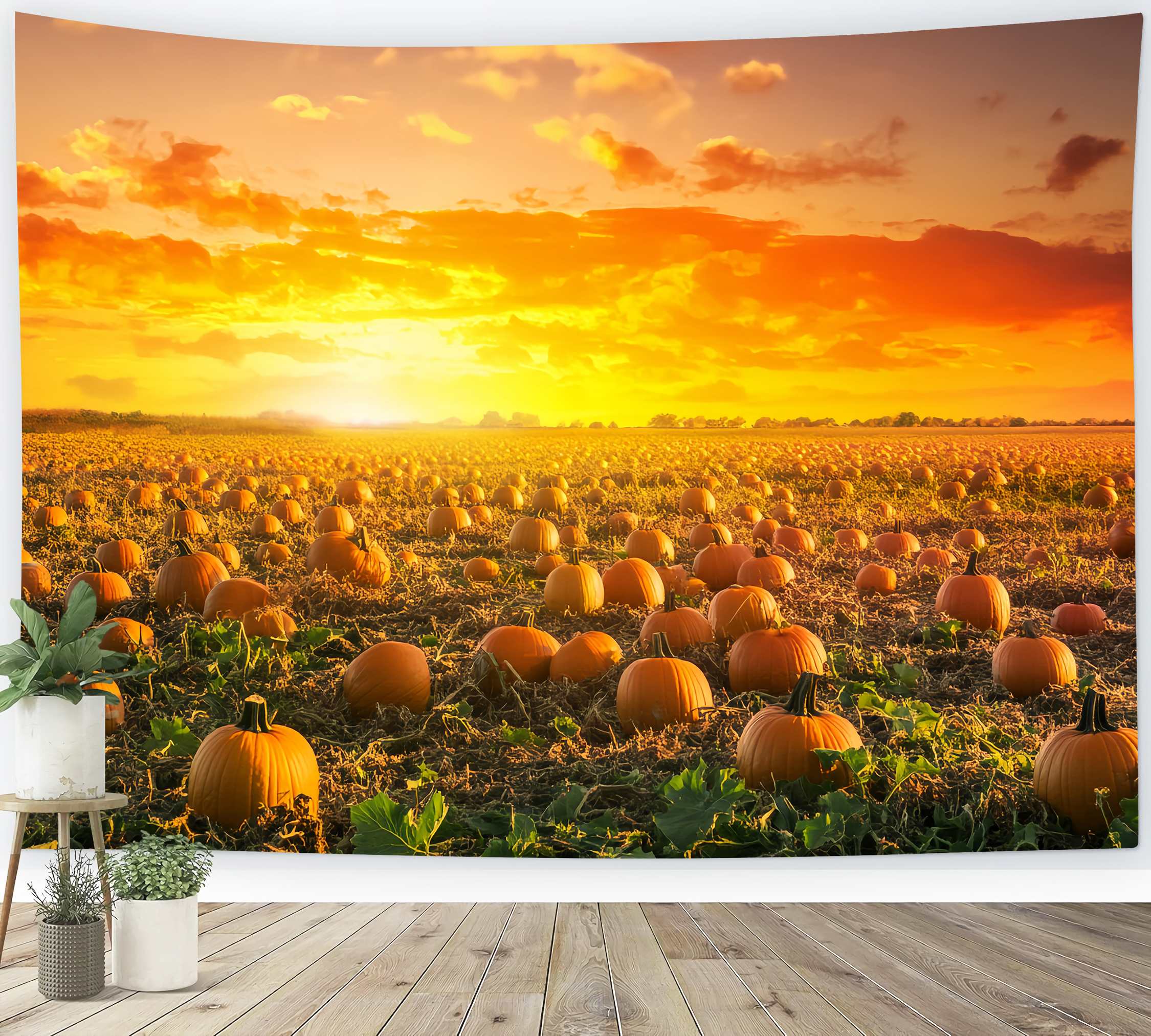 Herbst-Foto Hintergrund Kürbisfeld Goldener Sonnenuntergang Kürbis-Foto Hintergrund LXX58-166