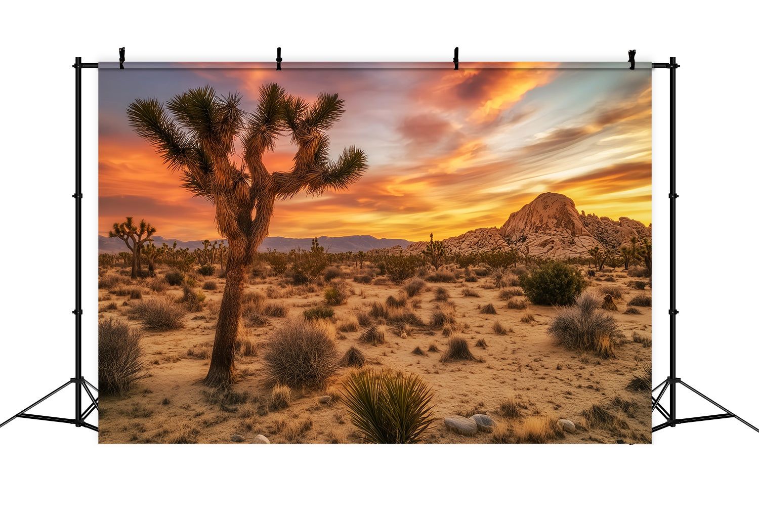 Herbst-Foto Hintergrundkulisse Wüste Sonnenuntergang Joshua Tree Glow Sonnenuntergang Foto Hintergrund LXX58-183