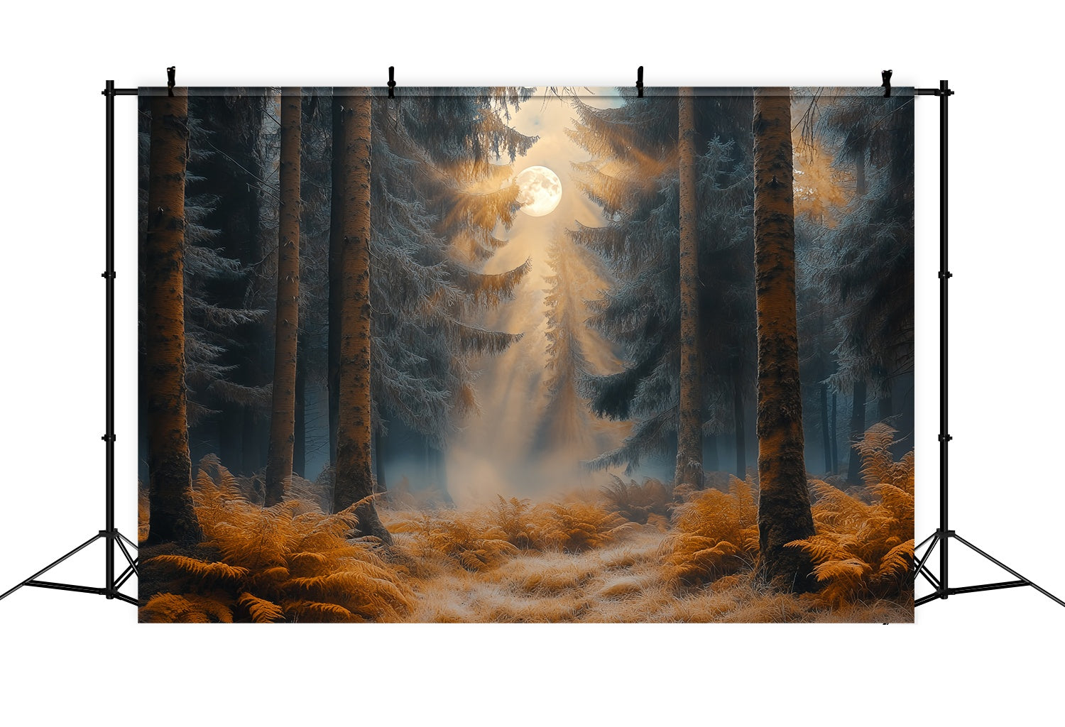 Herbst-Foto Hintergrund Enchanted Moonlit Autumn Forest Wald-Foto Hintergrund LXX58-185