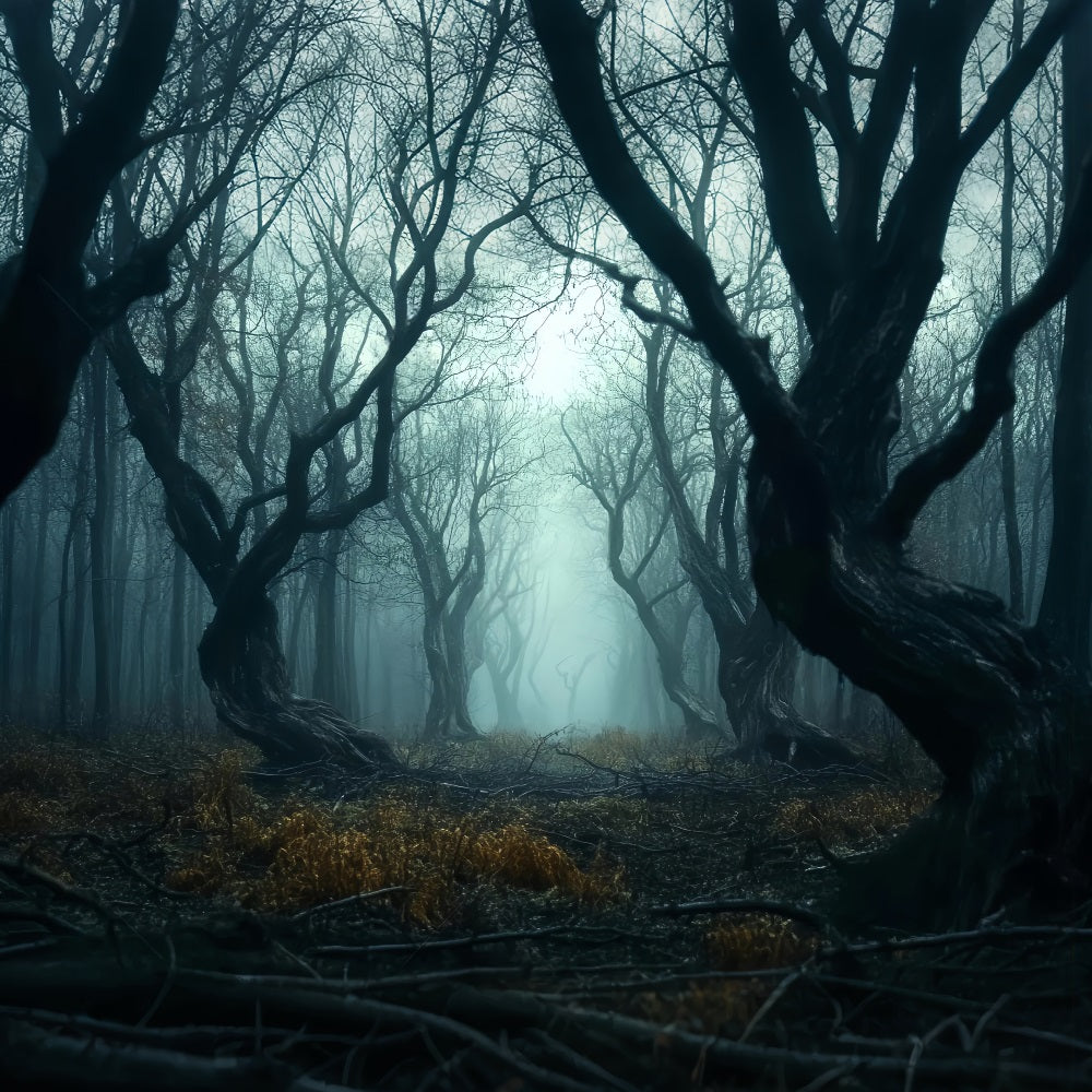 Gruseliger Wald Verdrehte dunkle Nebelbäume Waldfotografie-Foto Hintergrund LXX58-273