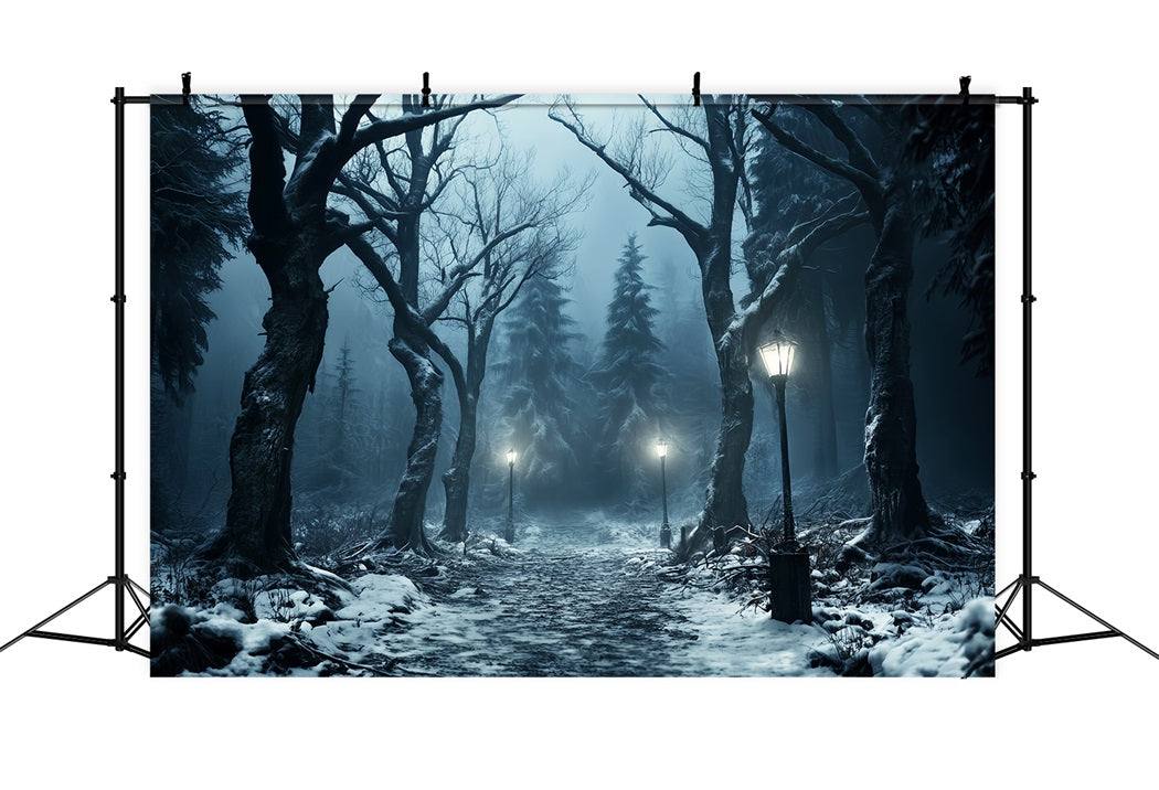 Winterlicher verschneiter Wald Verschneiter Weg Laternenlicht Wald-Foto Hintergrund LXX58-274