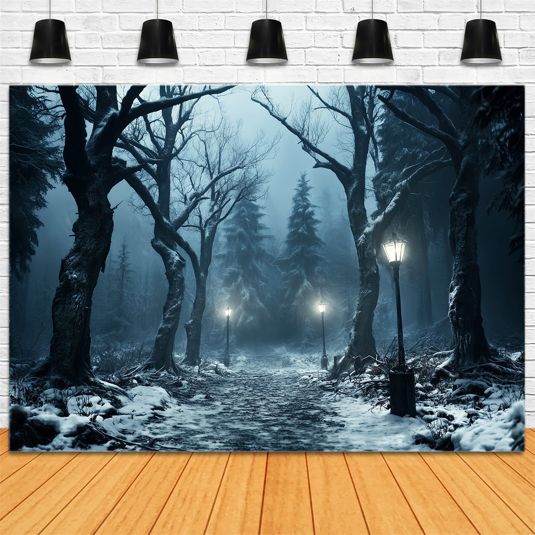 Winterlicher verschneiter Wald Verschneiter Weg Laternenlicht Wald-Foto Hintergrund LXX58-274