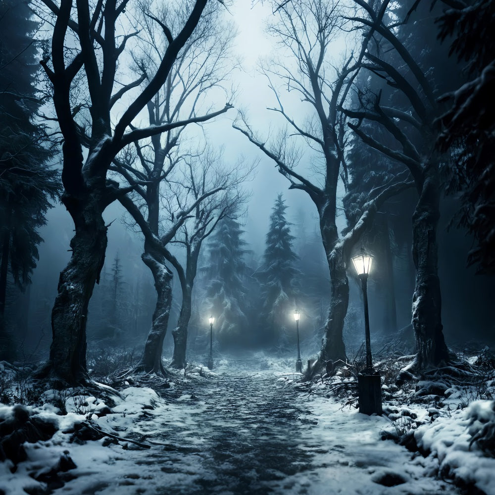 Winterlicher verschneiter Wald Verschneiter Weg Laternenlicht Wald-Foto Hintergrund LXX58-274