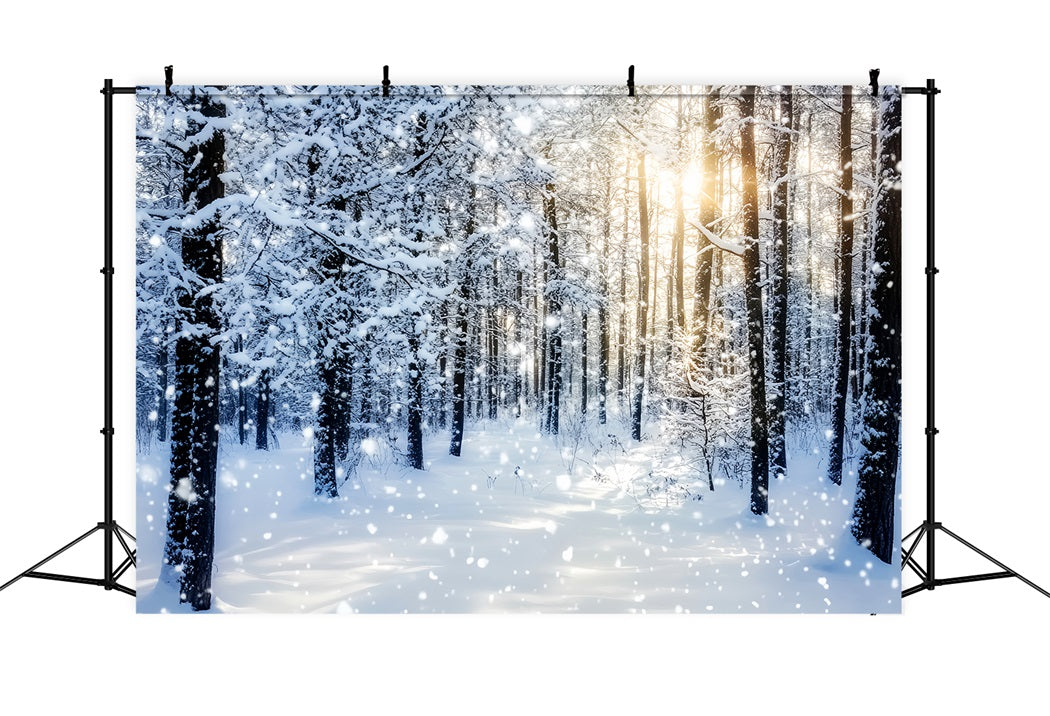Verschneiter Wald Funkelnder Sonnenaufgang Winterwald Wald-Foto Hintergrund LXX58-276