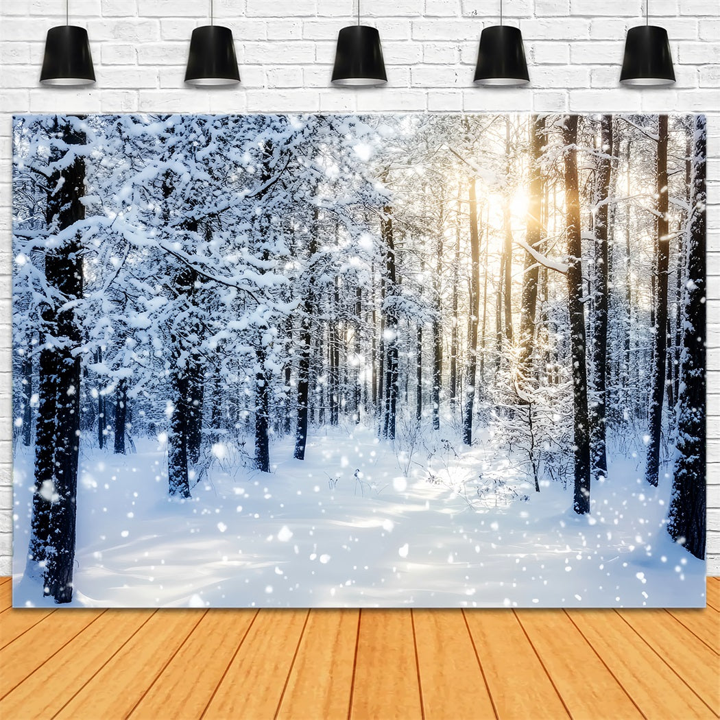 Verschneiter Wald Funkelnder Sonnenaufgang Winterwald Wald-Foto Hintergrund LXX58-276
